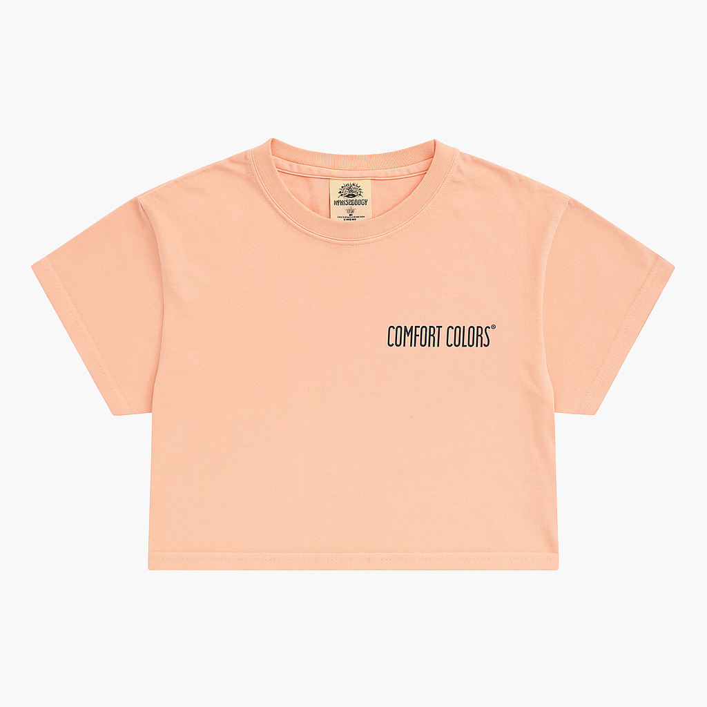 Comfort Color Heavyweight Boxy Tshirts